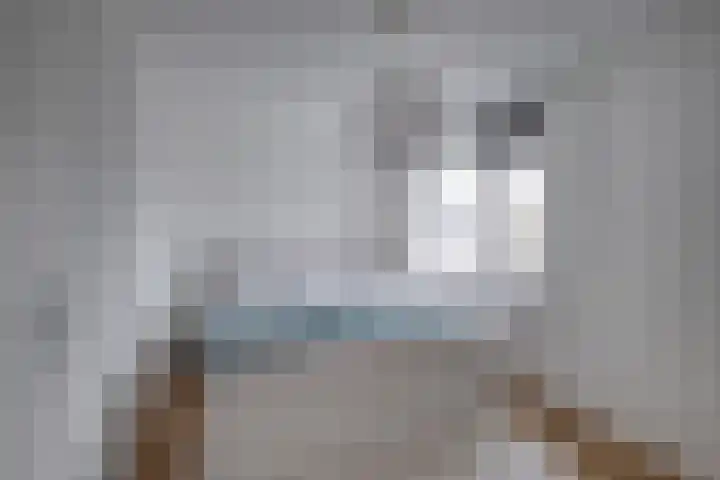 Hermaat 155 Doesburg thumbnail 12