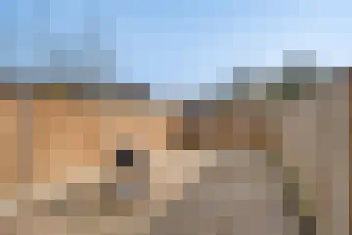 Hermaat 155 Doesburg thumbnail 23