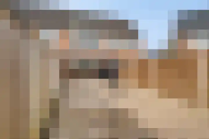 Hermaat 155 Doesburg thumbnail 25