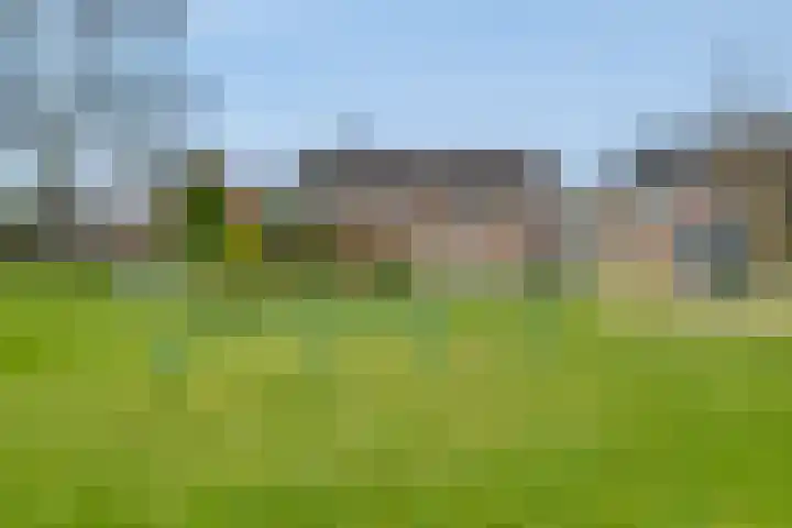 Hermaat 155 Doesburg thumbnail 28