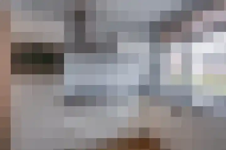 Hermaat 155 Doesburg thumbnail 8