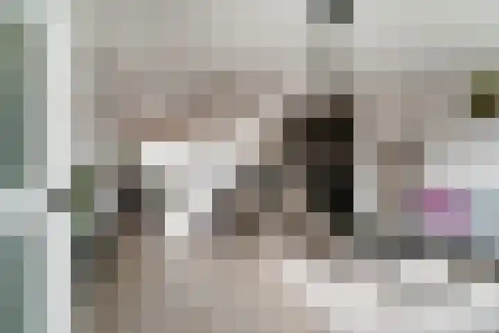 Hermaat 52 Doesburg thumbnail 12