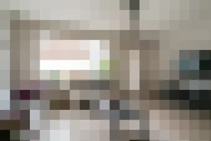 Hermaat 52 Doesburg thumbnail 16