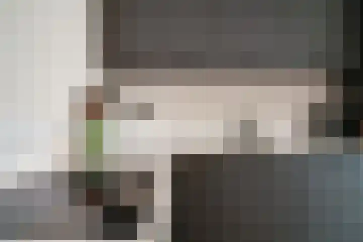 Hermaat 52 Doesburg thumbnail 19