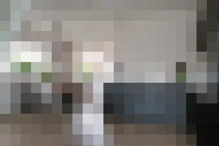 Hermaat 52 Doesburg thumbnail 21