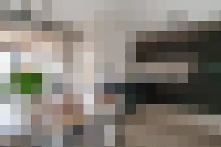 Hermaat 52 Doesburg thumbnail 23
