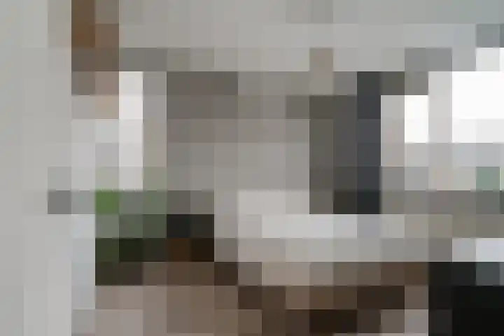 Hermaat 52 Doesburg thumbnail 28