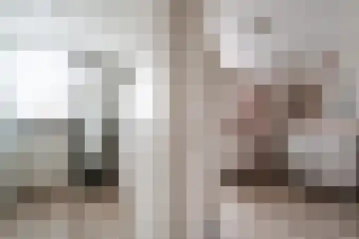 Hermaat 52 Doesburg thumbnail 34