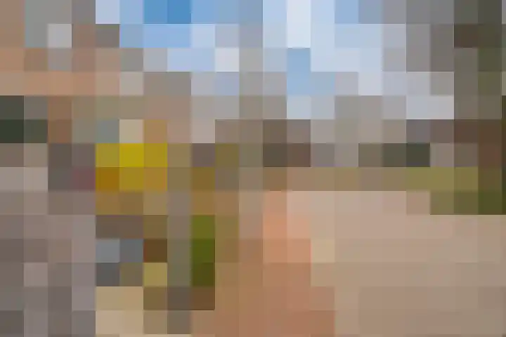 Hermaat 52 Doesburg thumbnail 7