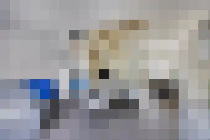 Hermaat 85 Doesburg thumbnail 16