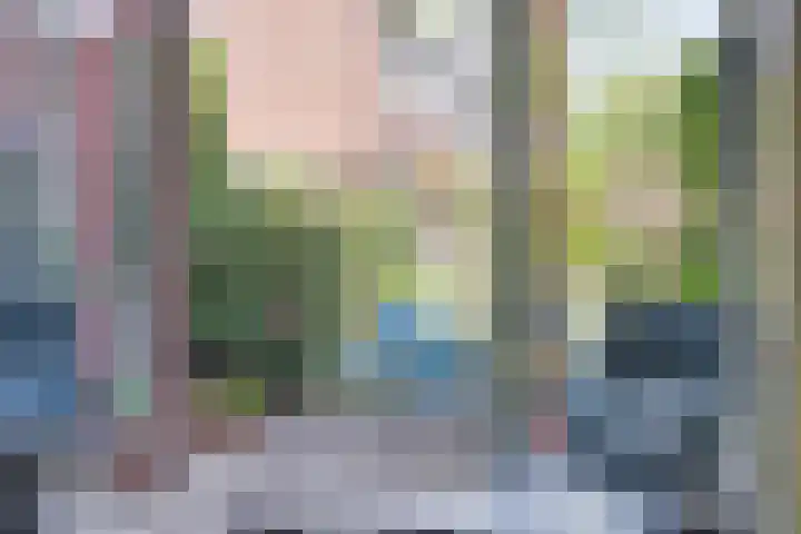 Hermaat 85 Doesburg thumbnail 18