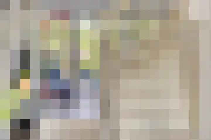 Hermaat 85 Doesburg thumbnail 19
