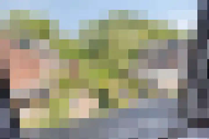 Hermaat 85 Doesburg thumbnail 33