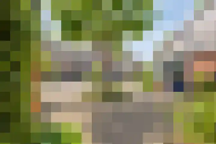 Hermaat 85 Doesburg thumbnail 41