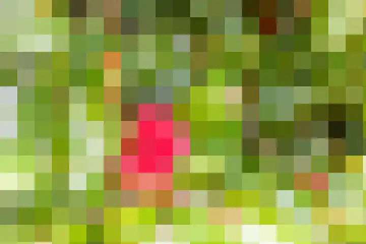 Hermaat 85 Doesburg thumbnail 42