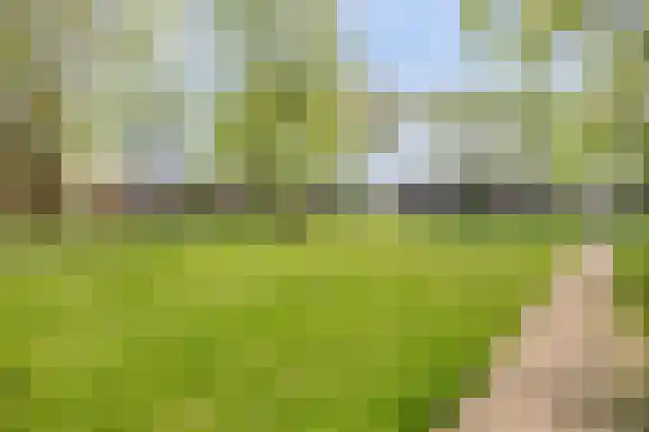 Hermaat 85 Doesburg thumbnail 43