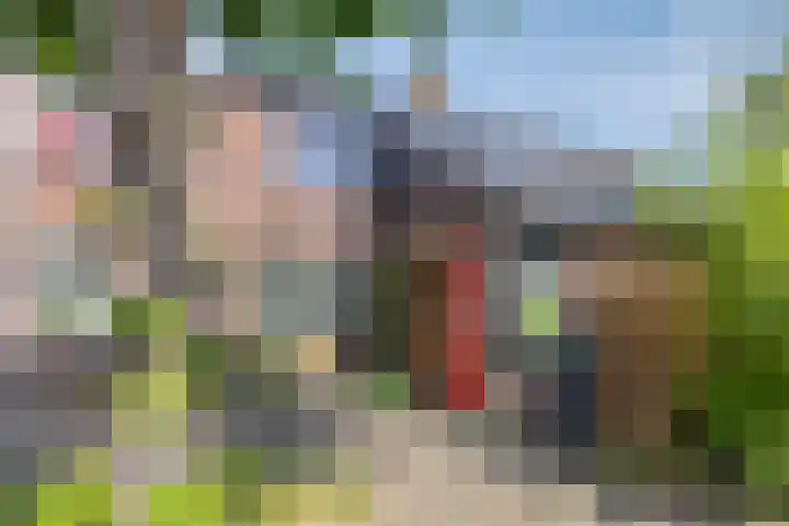 Hermaat 85 Doesburg thumbnail 47