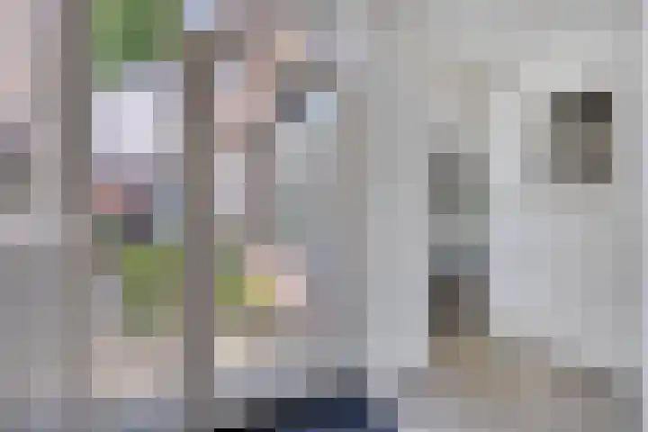 Hermaat 85 Doesburg thumbnail 6