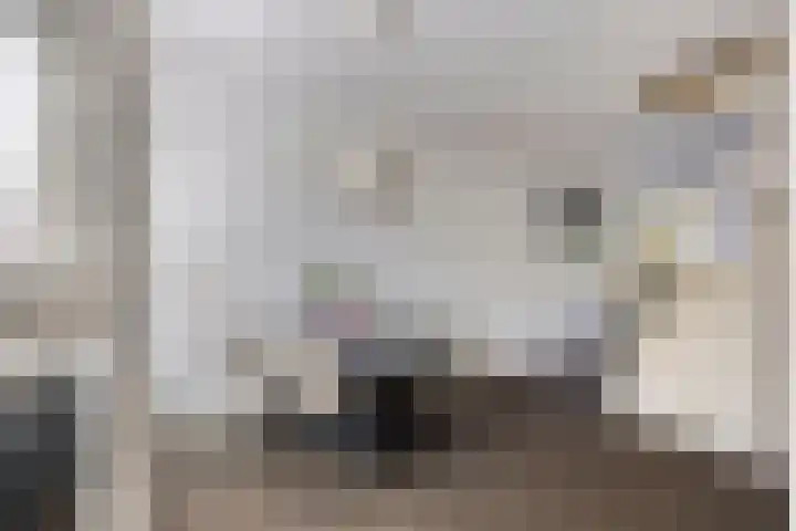 Hermaat 85 Doesburg thumbnail 9