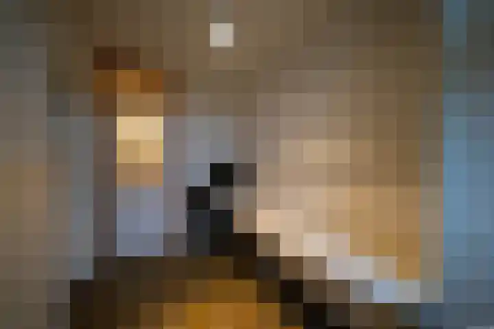 Hermanawei 37 Minnertsga thumbnail 11