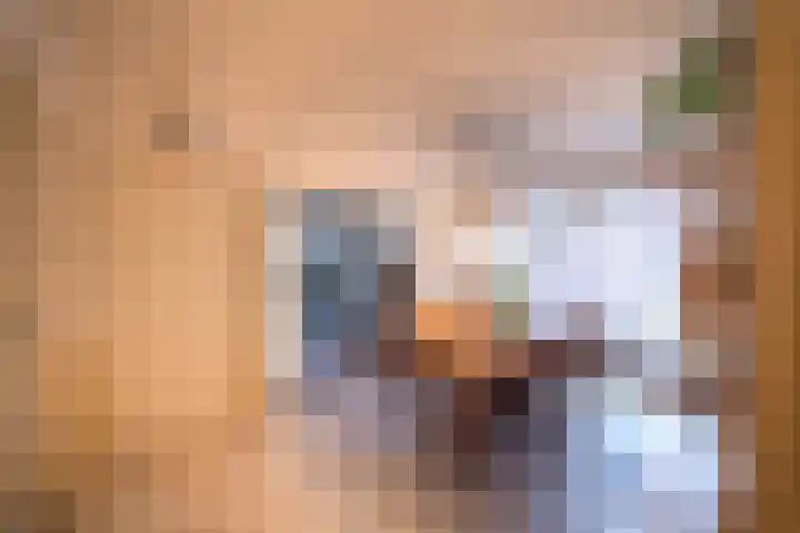 Hermanawei 37 Minnertsga thumbnail 12