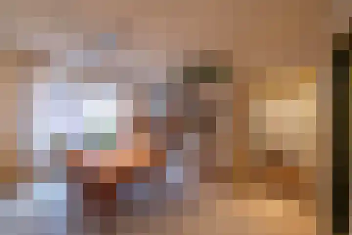 Hermanawei 37 Minnertsga thumbnail 21