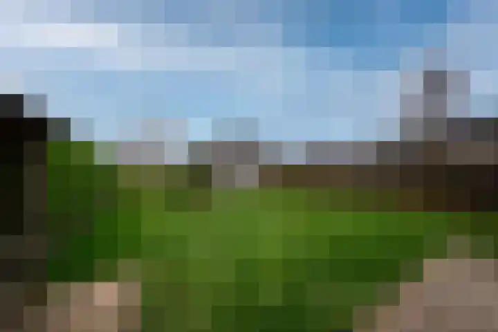 Hermanawei 37 Minnertsga thumbnail 41