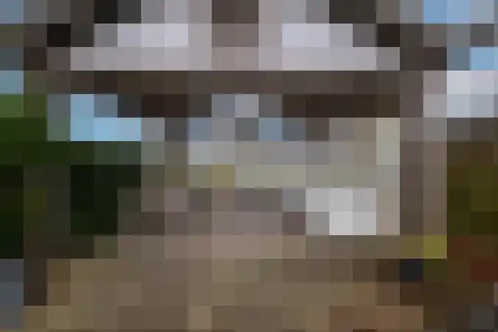 Hermanawei 37 Minnertsga thumbnail 42