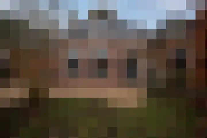 Hermanawei 37 Minnertsga thumbnail 5