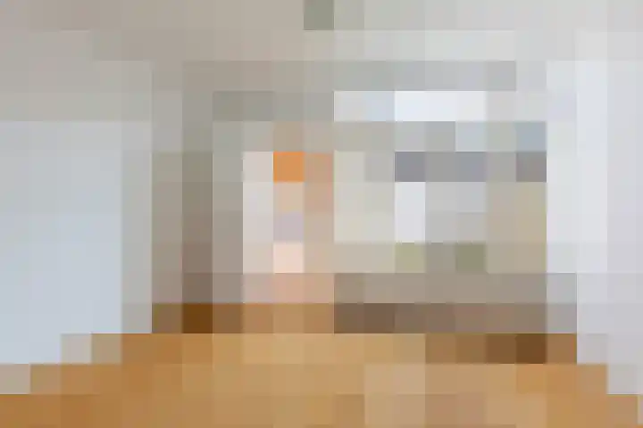 Hermannus Elconiusstraat 21 Utrecht thumbnail 15