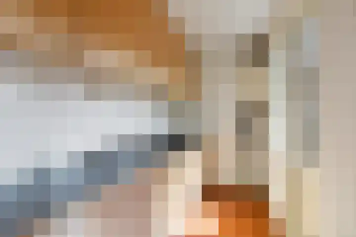 Hermannus Elconiusstraat 21 Utrecht thumbnail 18