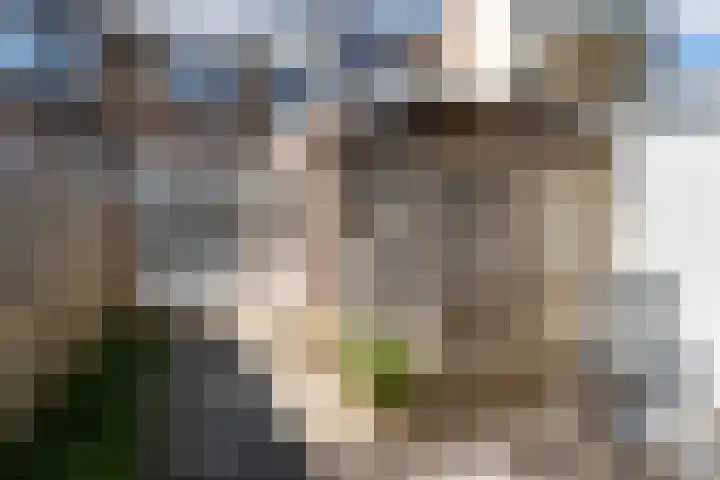 Hermannus Elconiusstraat 21 Utrecht thumbnail 27