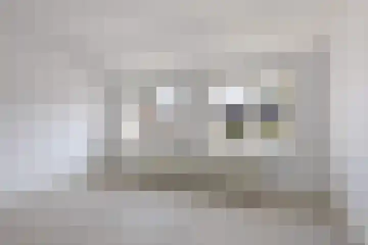 Hermannus Elconiusstraat 21 Utrecht thumbnail 32