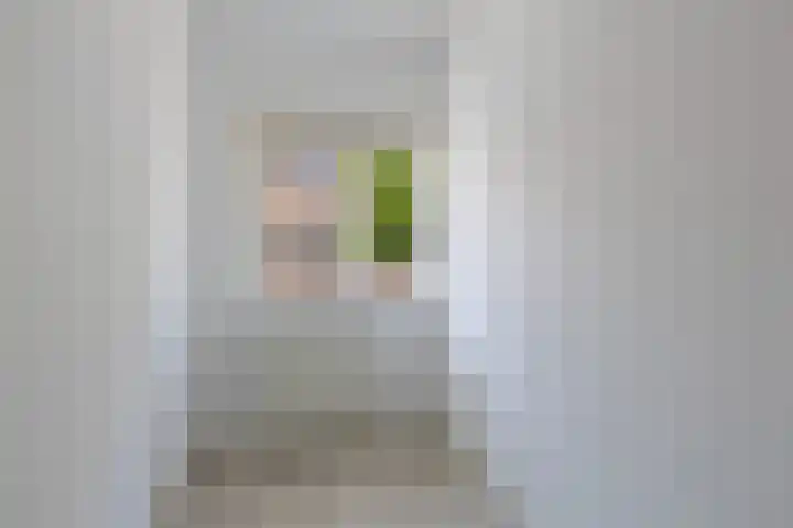 Hermannus Elconiusstraat 21 Utrecht thumbnail 35