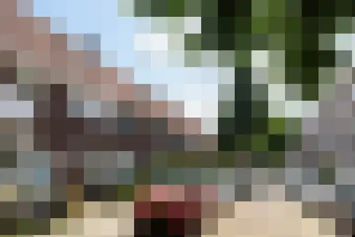 Hermannus Elconiusstraat 21 Utrecht thumbnail 4