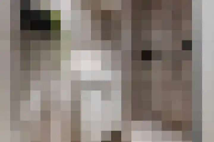 Hermannus Elconiusstraat 22 Utrecht thumbnail 12