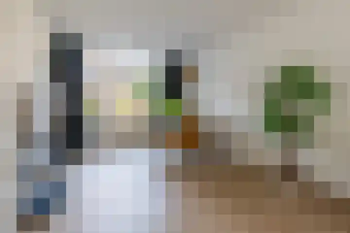 Hermannus Elconiusstraat 22 Utrecht thumbnail 4