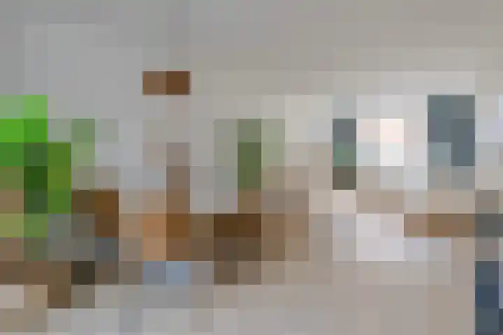Hermannus Elconiusstraat 22 Utrecht thumbnail 5