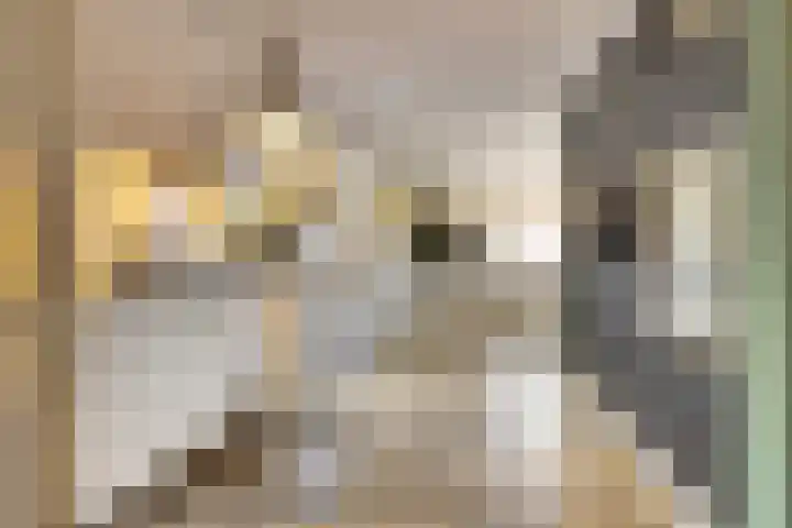 Hermanshof 1 Helden thumbnail 14
