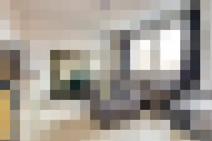 Hermanshof 1 Helden thumbnail 26
