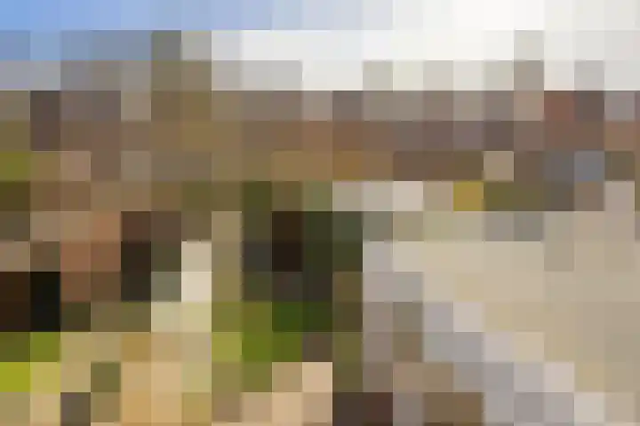 Hermanstraat 29 Groningen thumbnail 27