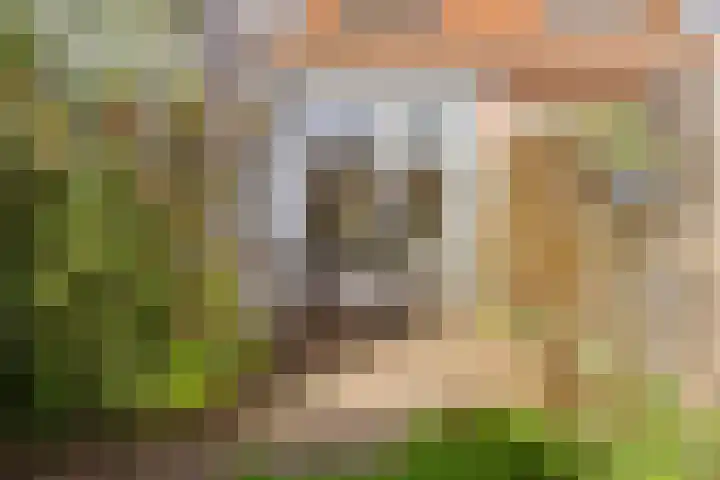 Hermanstraat 29 Groningen thumbnail 29