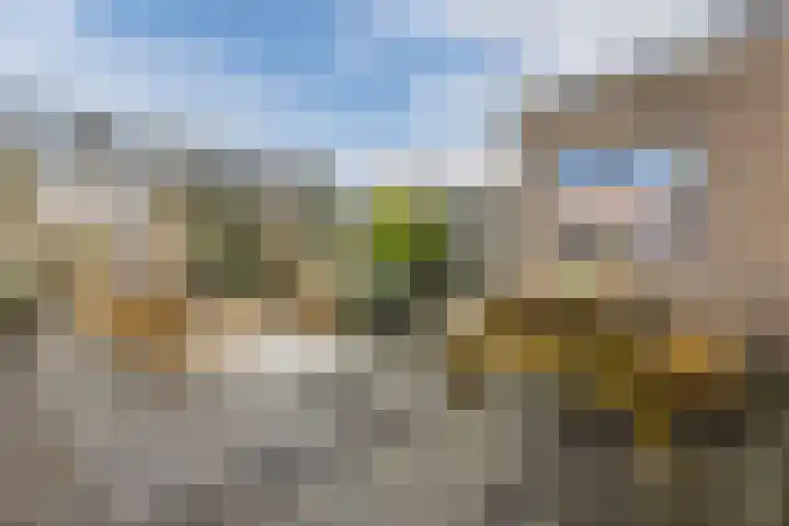 Hermelijn 13 Hellevoetsluis thumbnail 31