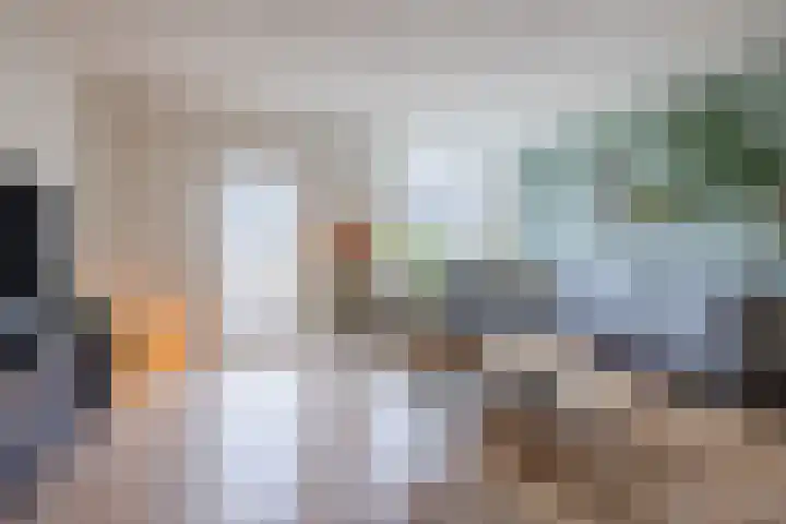 Hermelijn 13 Hellevoetsluis thumbnail 4