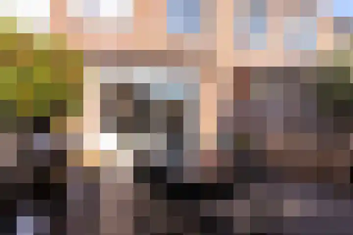 Hermelijn 36 Apeldoorn thumbnail 21