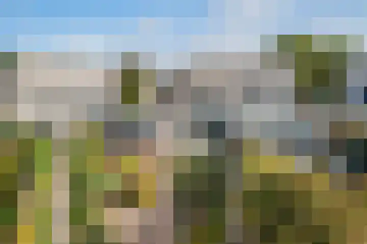 Hermelijn 5 Deventer thumbnail 17