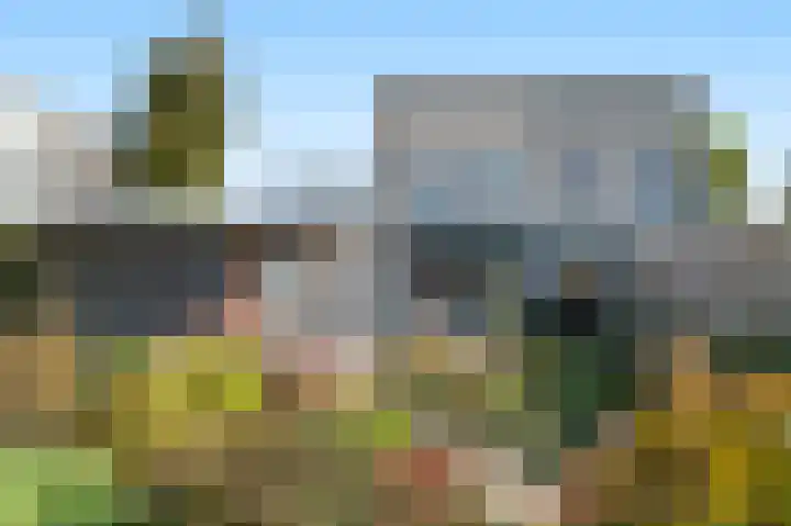 Hermelijn 5 Deventer thumbnail 18