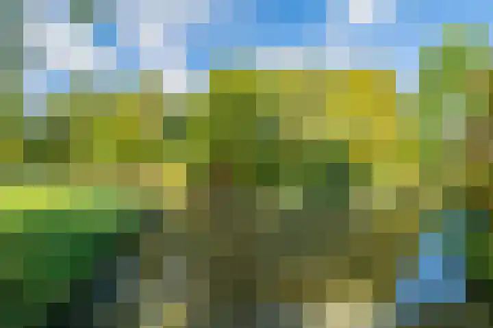 Hermelijn 5 Deventer thumbnail 24