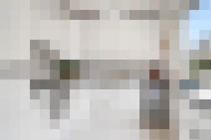 Hermelijn 5 Deventer thumbnail 7