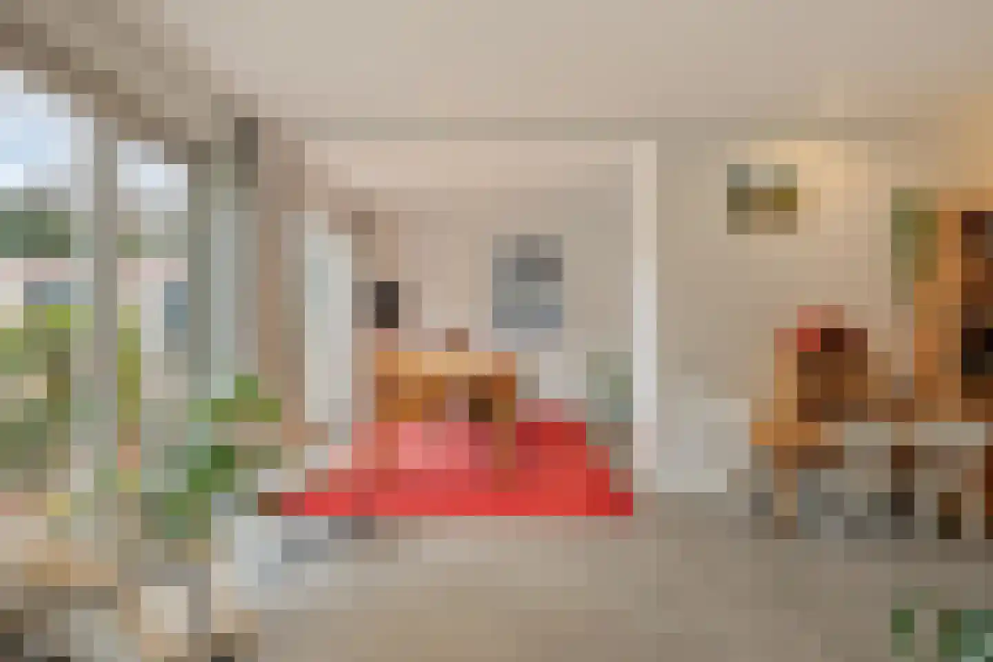 Hermelijnedreef 6 Oss thumbnail 12